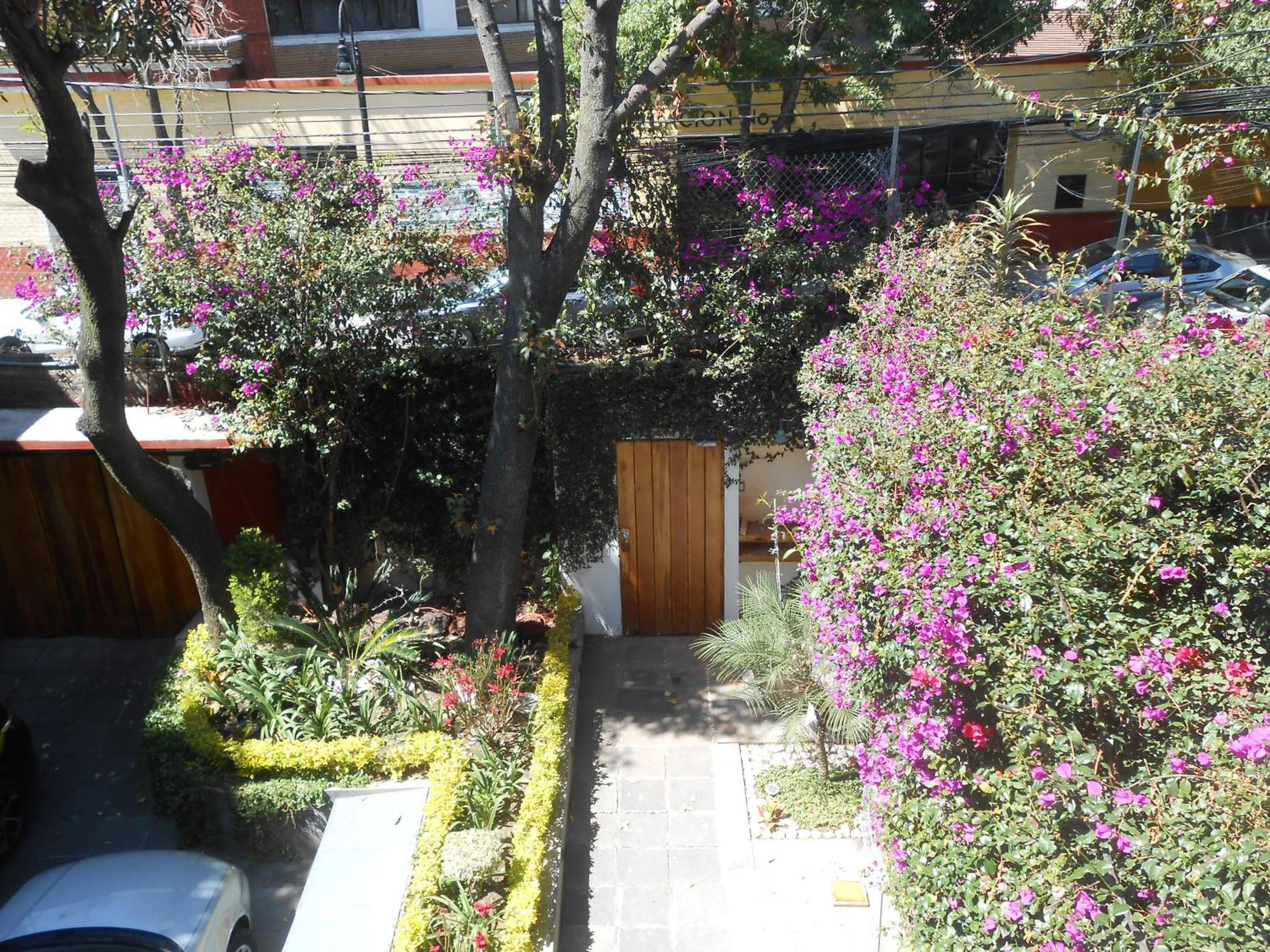 Terraza & Loft San Angel Apartamento Cidade do México Exterior foto