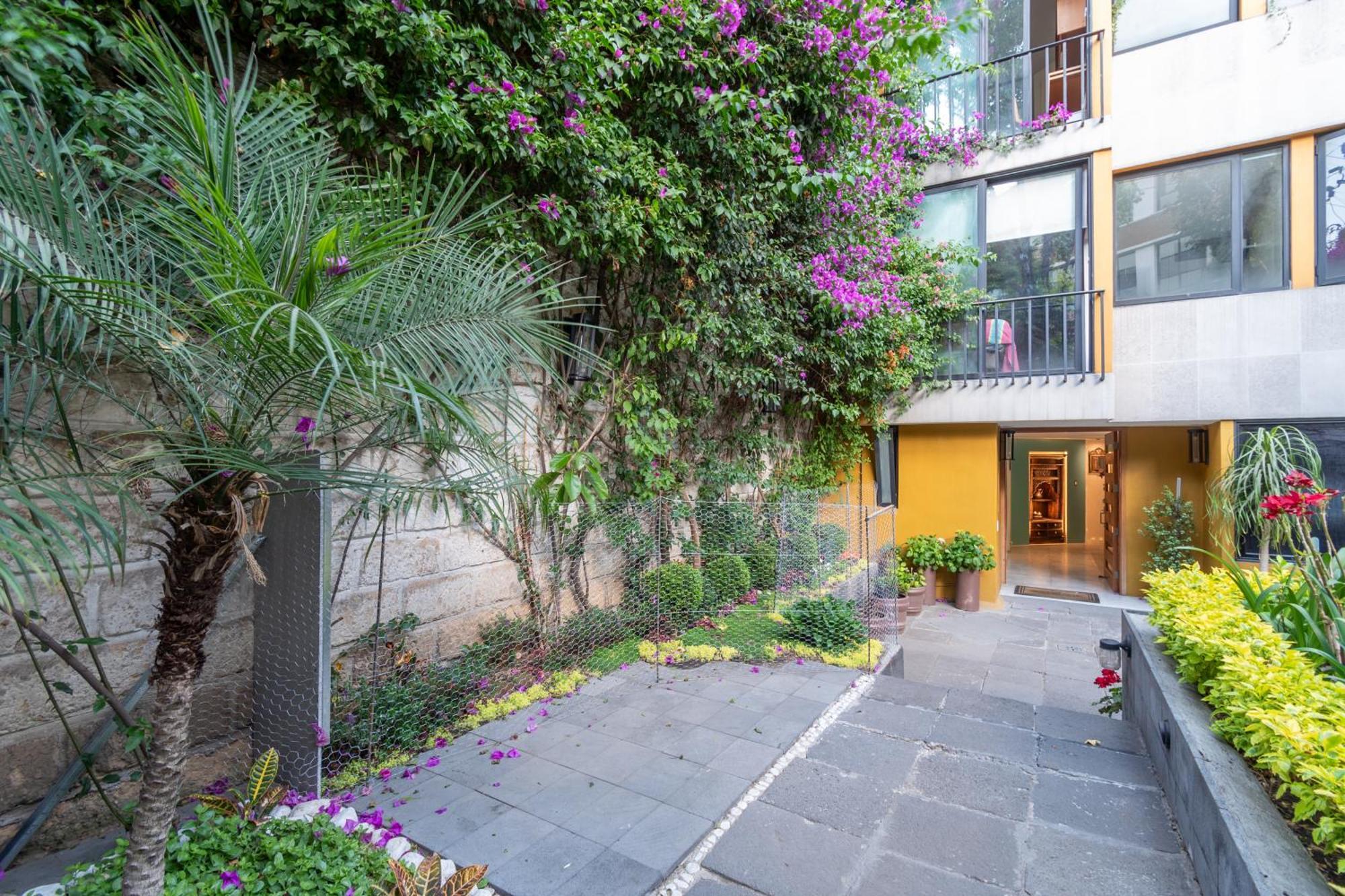 Terraza & Loft San Angel Apartamento Cidade do México Exterior foto